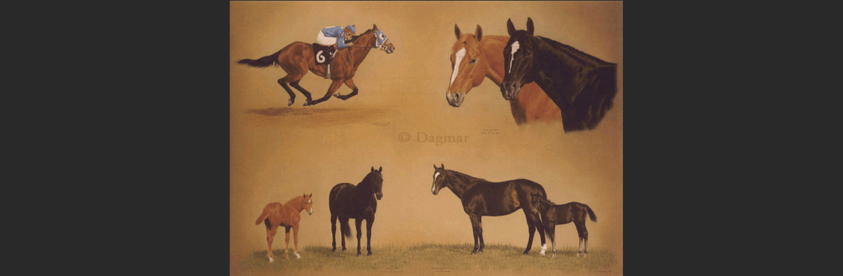 Multiple horses in various poses.