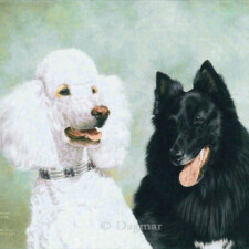 Two dogs.
