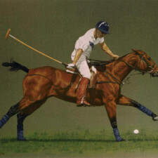 Single polo player.