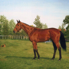 Standing horse in landscape with three dogs.