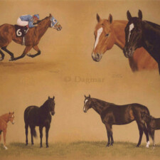 Multiple horses.