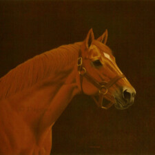 Thoroughbred horse, Secretariat.